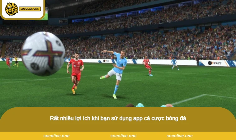 Rất nhiều lợi ích khi bạn sử dụng app cá cược bóng đá